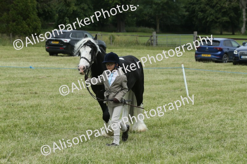 20260614-4272 - Class 18 - Best Junior Handler