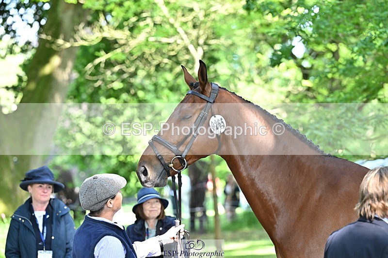 250521A-161916-01059 - C-267-Jeanette.Brakewell-PRIMIRO