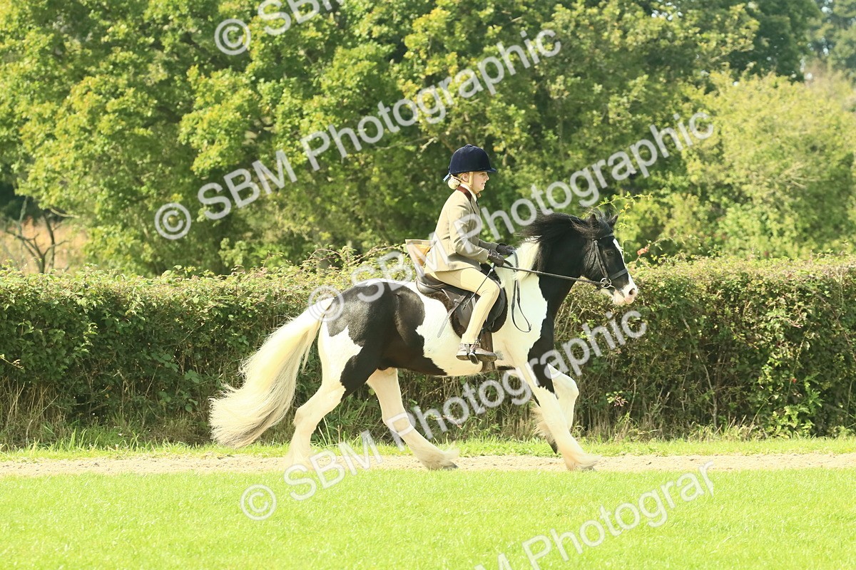 SBM_67474 - S56 - Coloured Pony Ridden