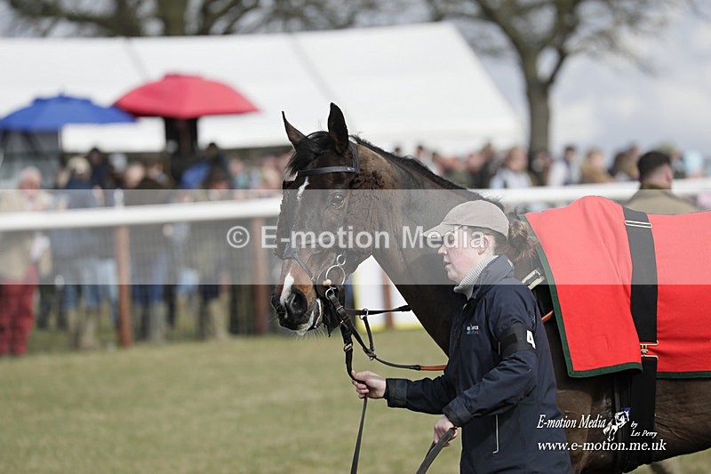 PtP 180323 624 - Shelfield Park Races with Croome & West Warwickshire Hunt  18/03/23