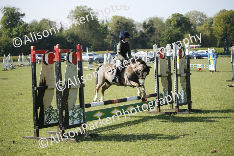 20250427-0420 - Class 12 - Rookie Jumping 40cm