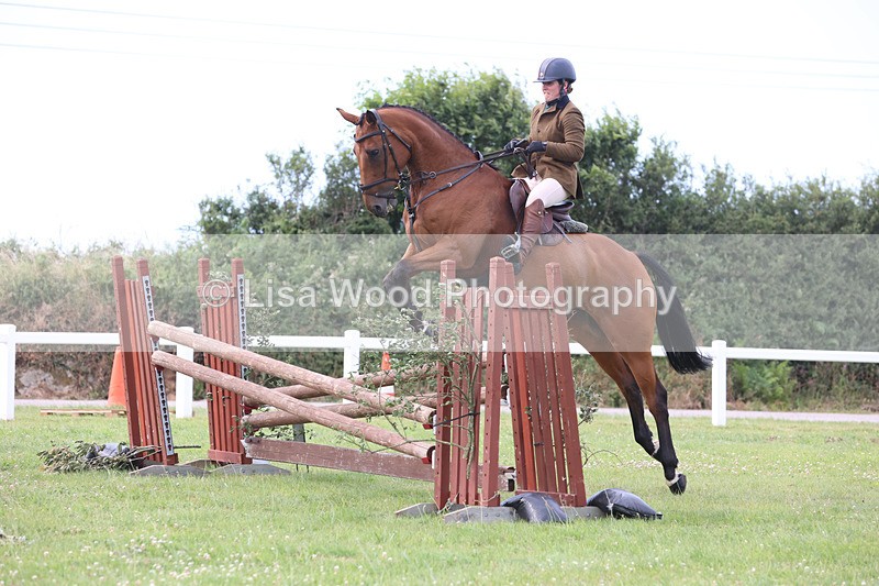 JPP_4103 - Class 24: Working Hunter 90cm
