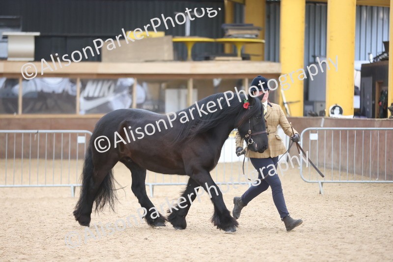 20251109-1221 - Supreme Championship