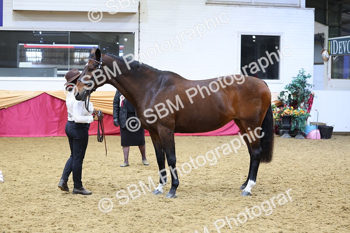 SBM_21087 - Class 902 - Supreme Final IH Veteran