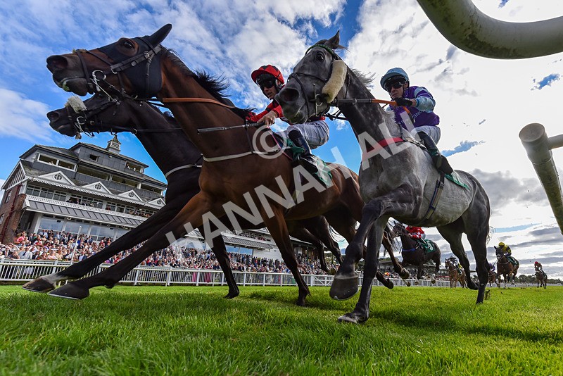 050926-Race 7-Andesite-6935 - Race 7 5pm Thirsk Racecourse Ideal Conference & Events Venue Handicap (Div I)
