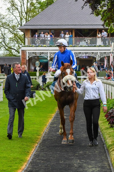 190523-Race 3-Marhaba The Champ-0492 - Race 3 3.00pm Knights Solicitors Handicap
