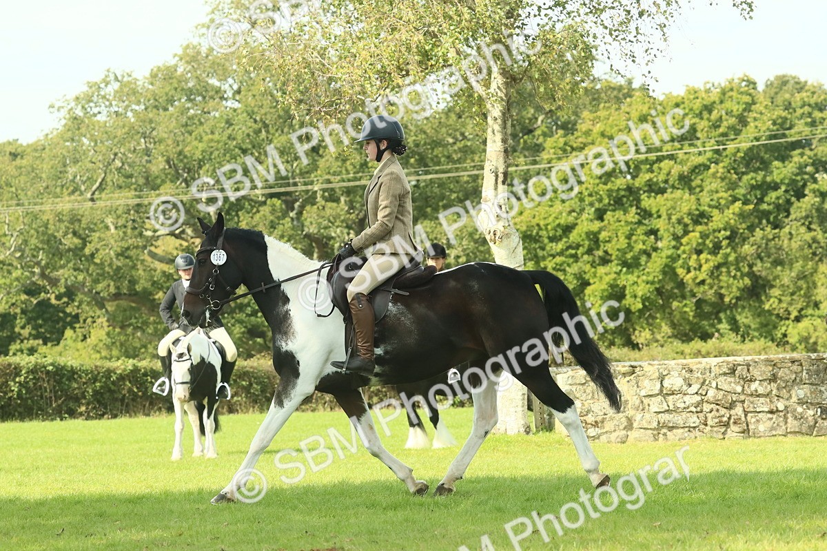 SBM_66530 - S34 - Rehabilitated Rescue Horse & Pony In Hand & Ridden