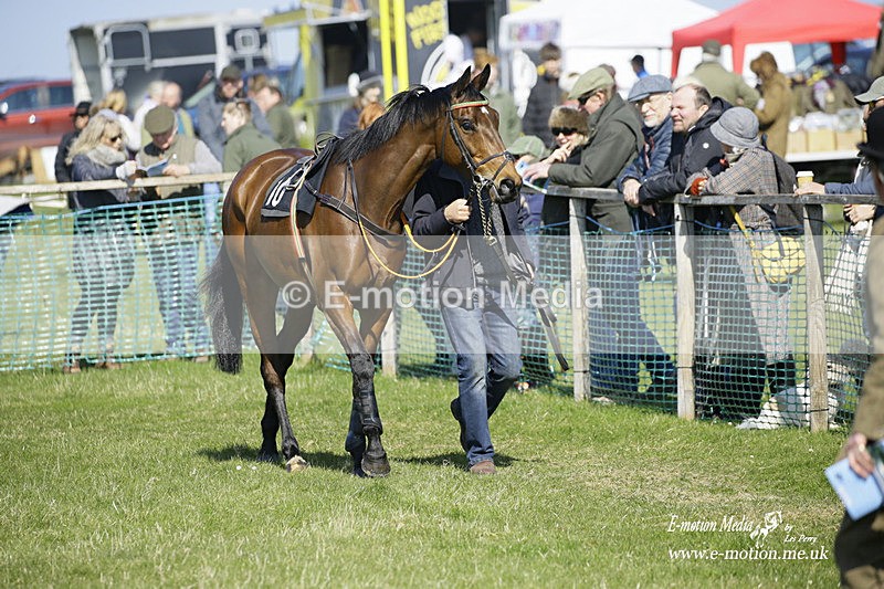PtP 190322 260 - Wilton Hunt PtP Milborne St Andrew 19/03/22