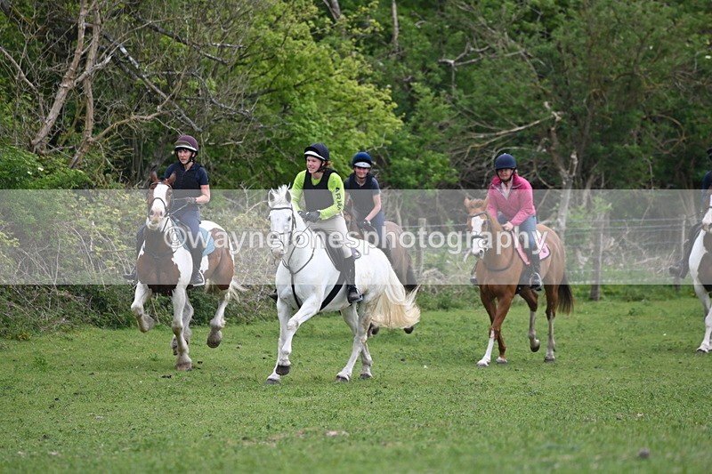 WJ6_3556 - Group 8 A camera ?