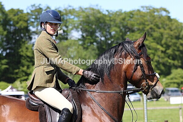 IMG_4366 - Working Hunter