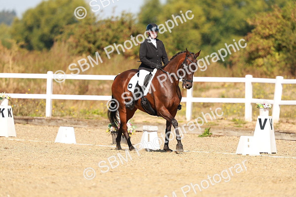 SBM_017732