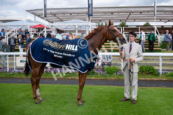 310525-Race 3-Habooba-7804 - Race 3 2.40pm William Hill More Top Prices Handicap