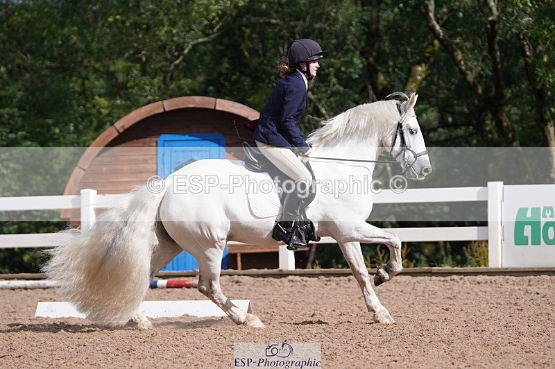 240809A-093340-00277 - Dressage Competition