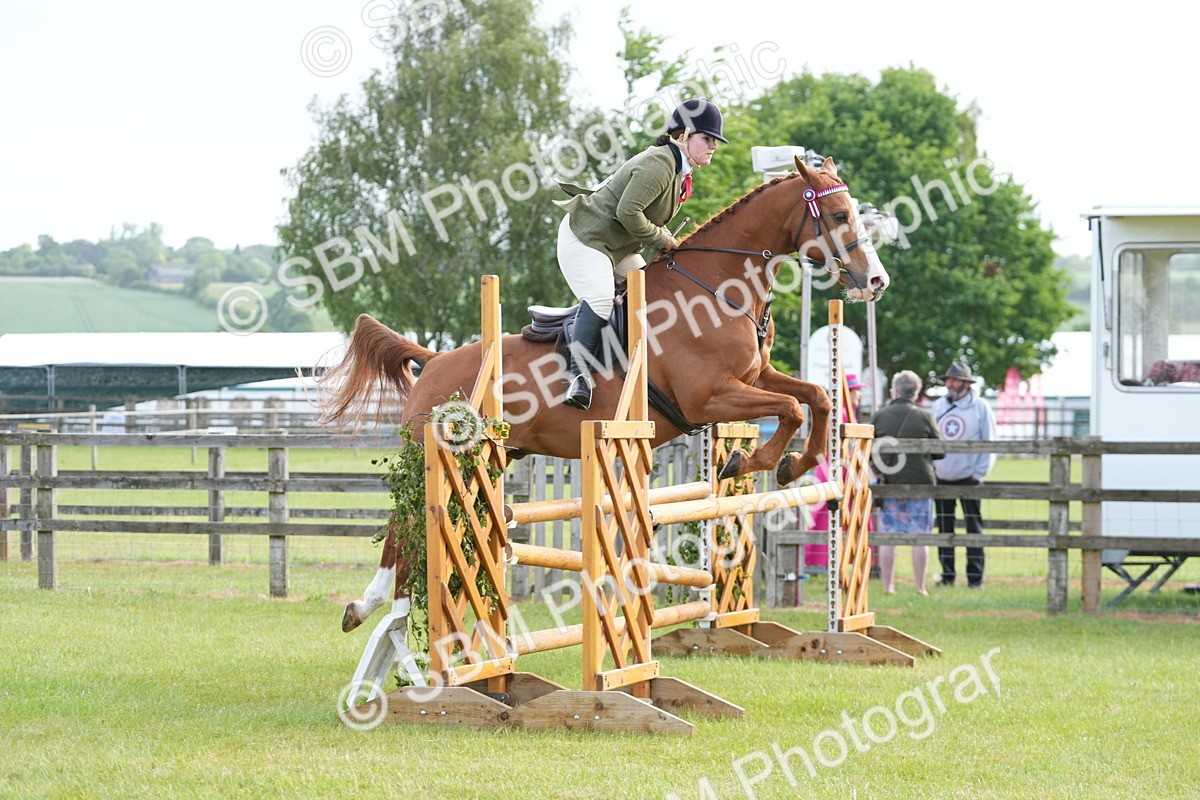 SBM_10475 - Class 97-98 - LIHS BSHA Rising Star Working Show Horse Hunter