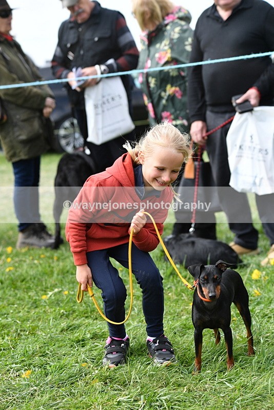 WJ5_0572 - Class 7 Best Terrier