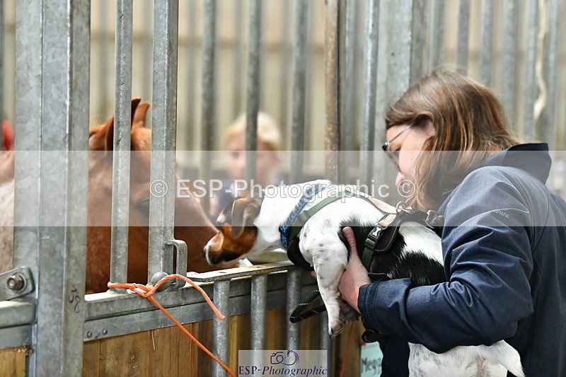 230804A-094606-02186 - Stable Shots