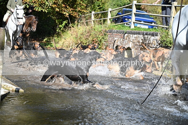 WJ7_5968 - Hounds Water Crossing