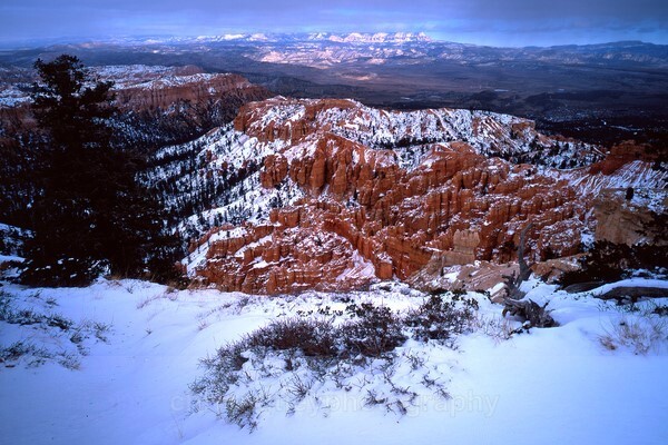  - Australian and American Landscapes