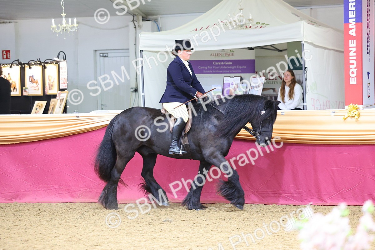 SBM_23623 - Class 904 - Supreme Final Ridden Diamond