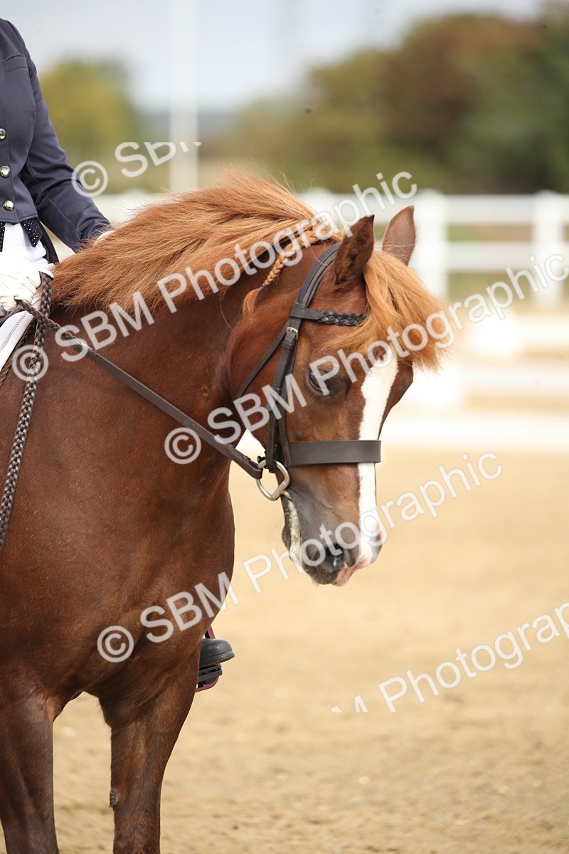 SBM_000689 - Class 2 - Prelim 5 - 10.05-11.15