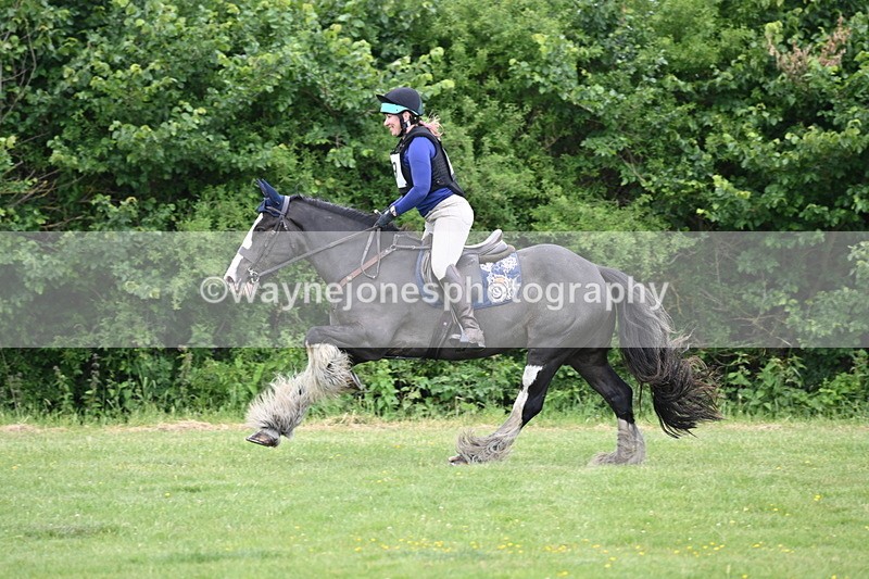 WJ6_3221 - Class 4 60cm