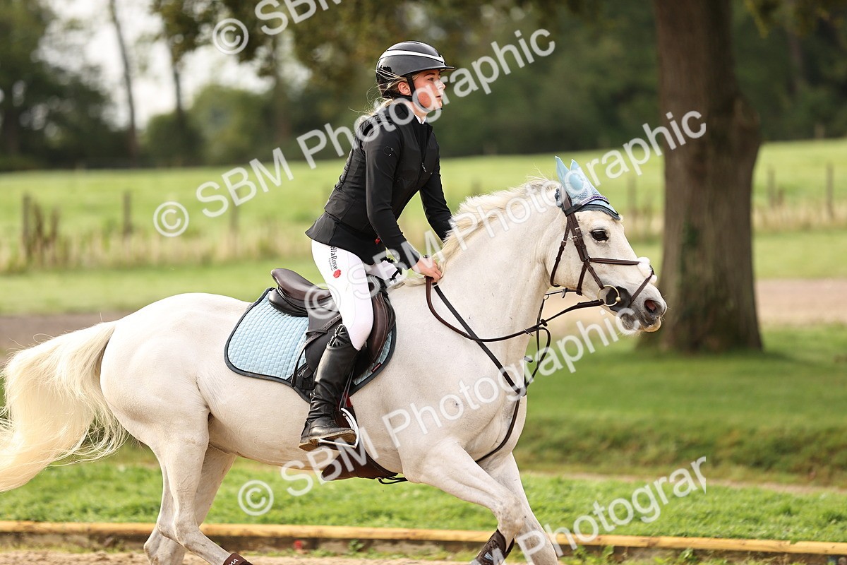 SBM_58185 - J41 - Grand Tour Horse & Pony 95cm