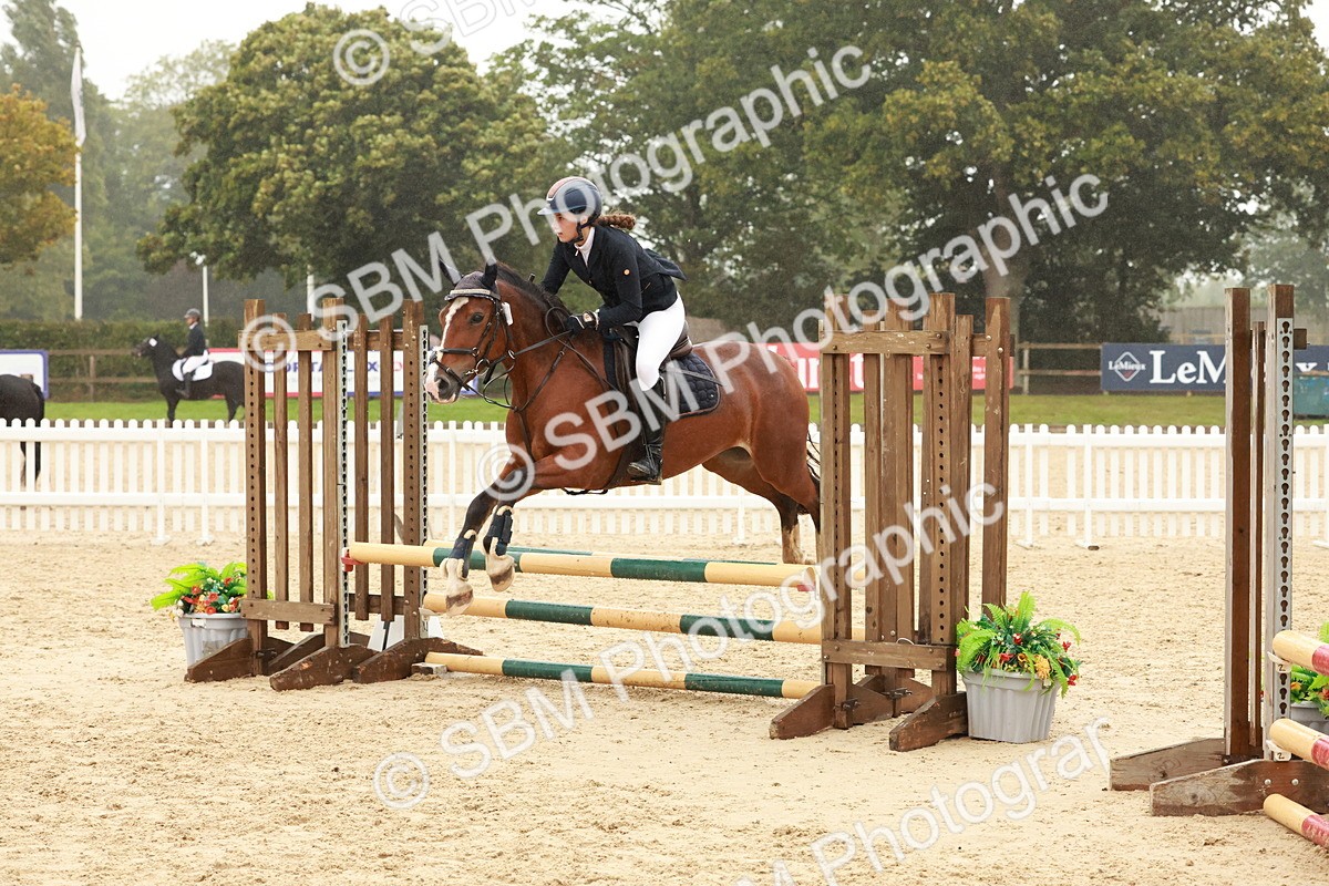 SBM_73369 - Supreme Championship Junior Pony 60cm & 65cm