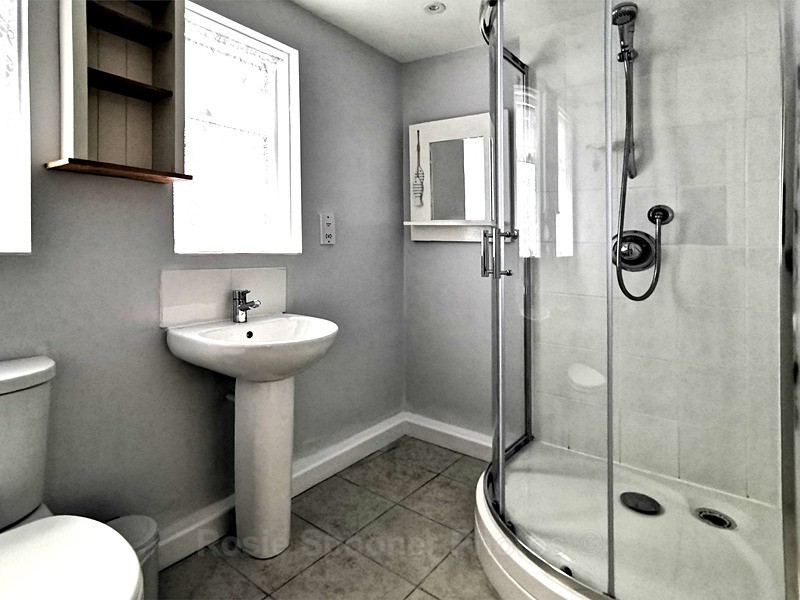 Shower Room - ROSIE'S HOLIDAY LET DOLPHINS