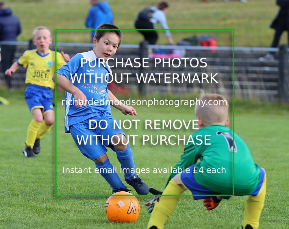 WU836 - Wattsfield U8 (2/7/22)