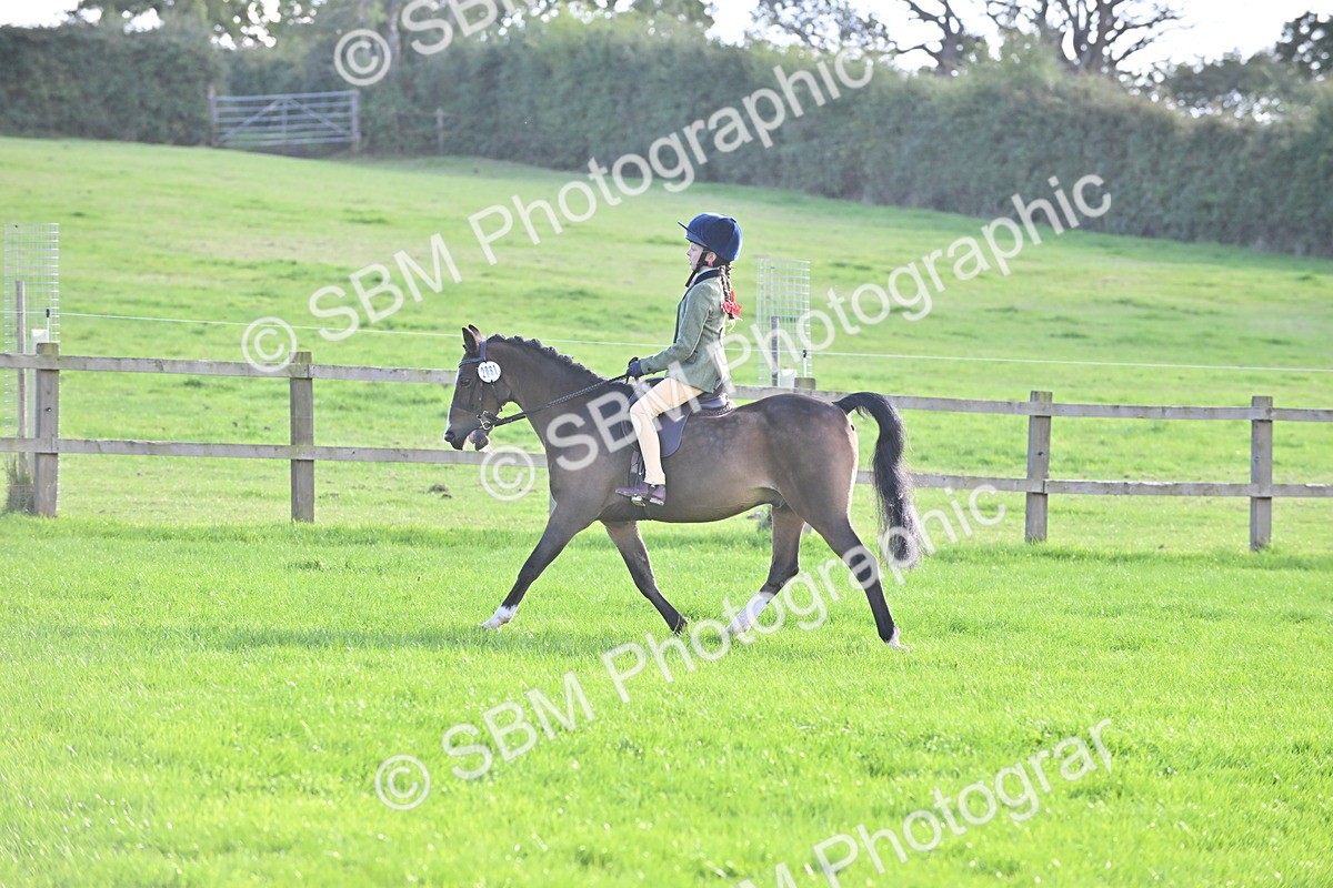 SBM_51223 - S22 - First Ridden show and show Hunter Pony