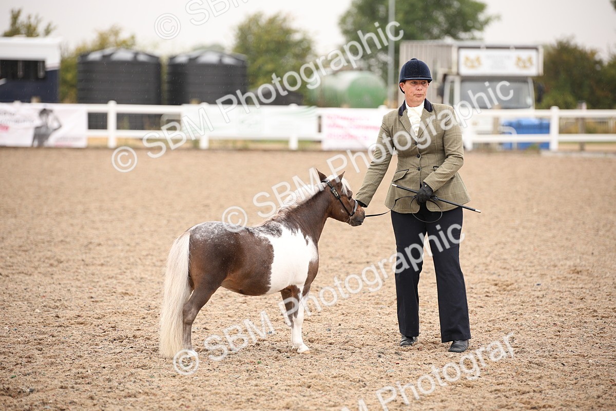 SBM_20164 - Class 703 - IH  Coloured