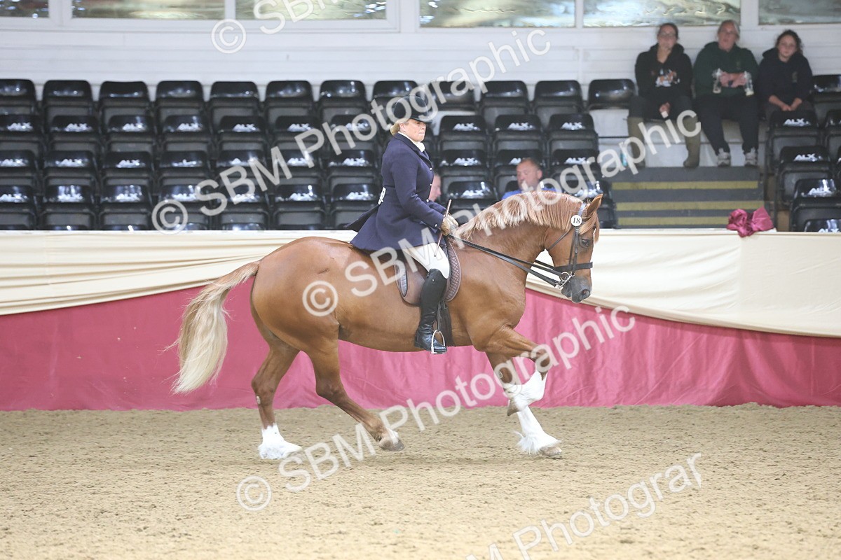 SBM_23820 - class 906 - Supreme Final - Ridden Pre Vet