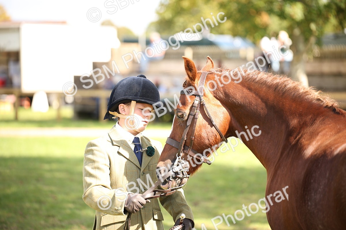 SBM_44439 - S24 - Young Veteran in hand