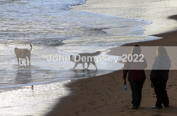 Dog Walkers Talking - Walking the Dog