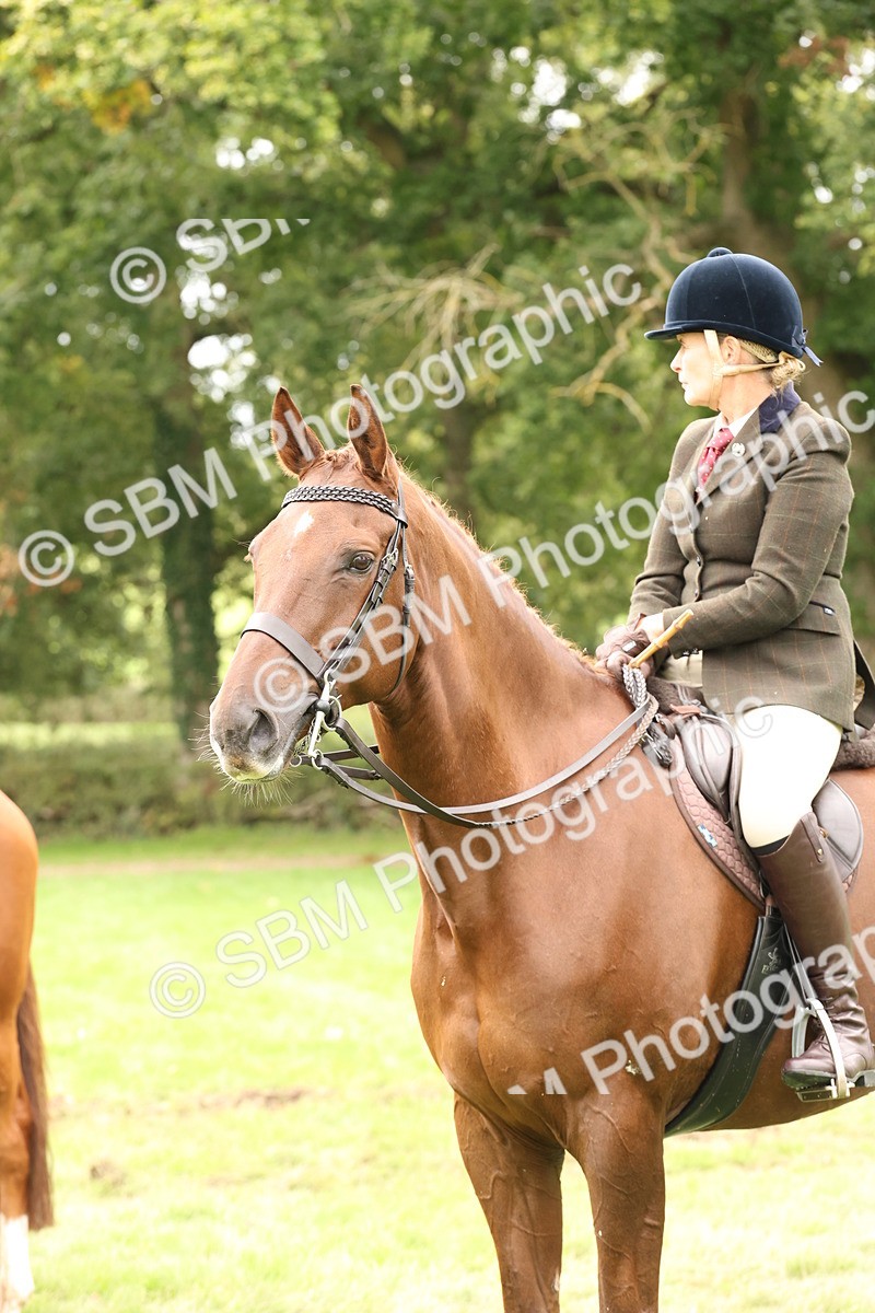 SBM_64293 - S65 - Riding Horse & Hack & Thoroughbred Ridden