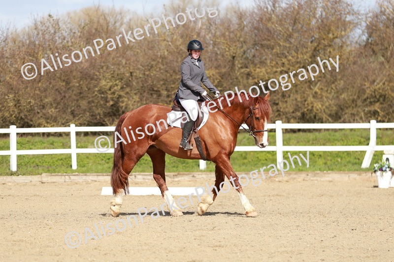 20260314-2837 - DR3 - Prelim 1