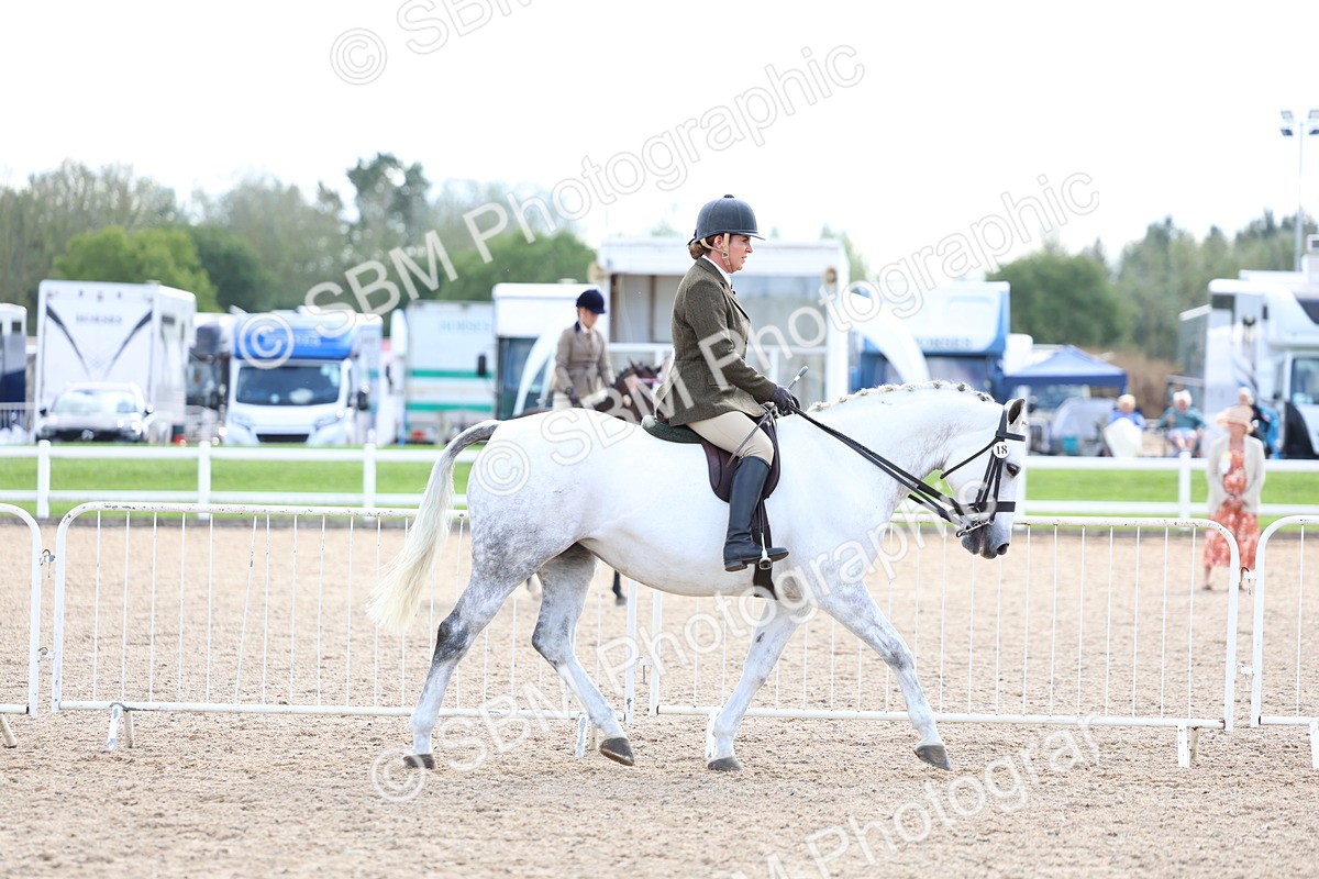 SBM_17097 - Class 315 - Best Horse - Rider Combination