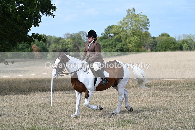 WJ7_7050 - Class 14 Ridden Coloured