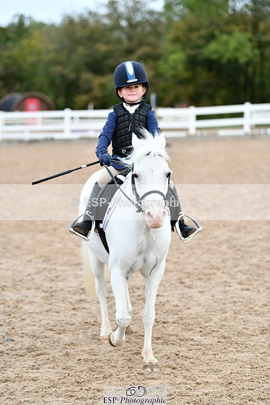 241013B-094900-00274 - Cls 1 Clear Round