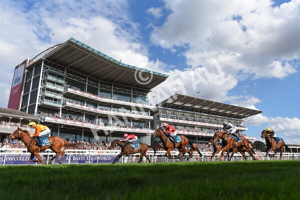 yr20082022r6-18 - Race 6 4.45 pm Julia Graves Roses Stakes