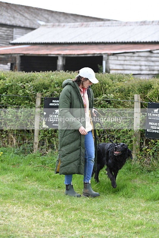 WJ5_9082 - Class 1 Best Cross Breed / Heniz 57