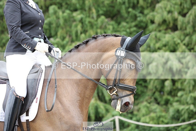 230812-143452-04443 - Cls 5 Novice Bronze 13.40 to 14.45 break