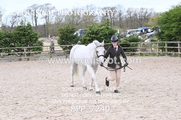 BPP_7240 - RING 1  (RIDDEN HORSES / IN HAND / VETERAN ETC)
