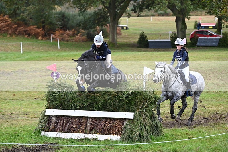 WJ6_3000 - 80cm Cam 1 Pairs Time 12:19 to 12:49