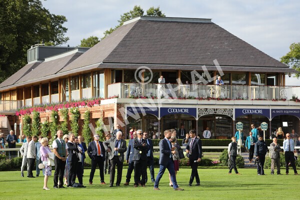 yr19082022r7-20 - Race 7 5.20pm Sky Bet Mile Stakes