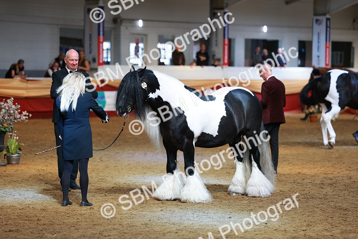 SBM_18517 - Class 903 - Sup Final - IH Pre Vet