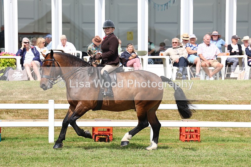 3E7A0575 - Rising Star Ridden Championship