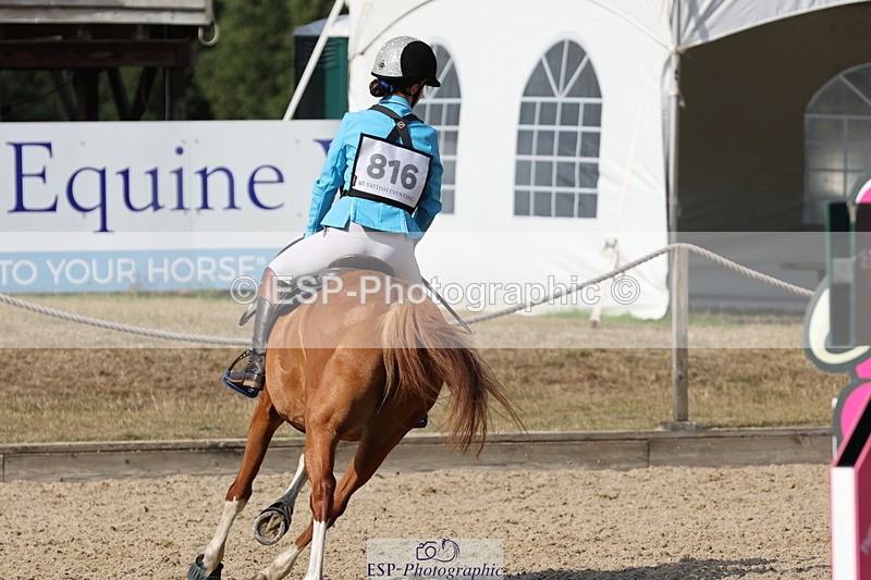 250803A-165028-17636 - R-816-Tiana.Gale-MISS.MOLLY