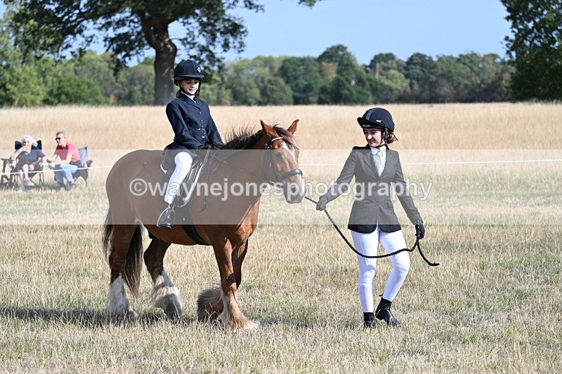 WJ7_2706 - Class 8 Ridden Tack & Turnout