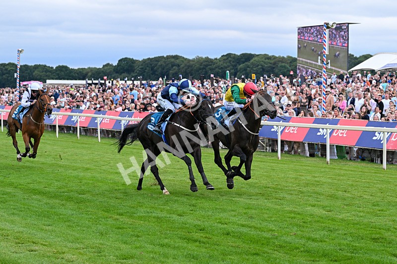 250726-Race 7-Flight Control-7803 - Race 7 16.52pm Sky Bet Extra Places Handicap